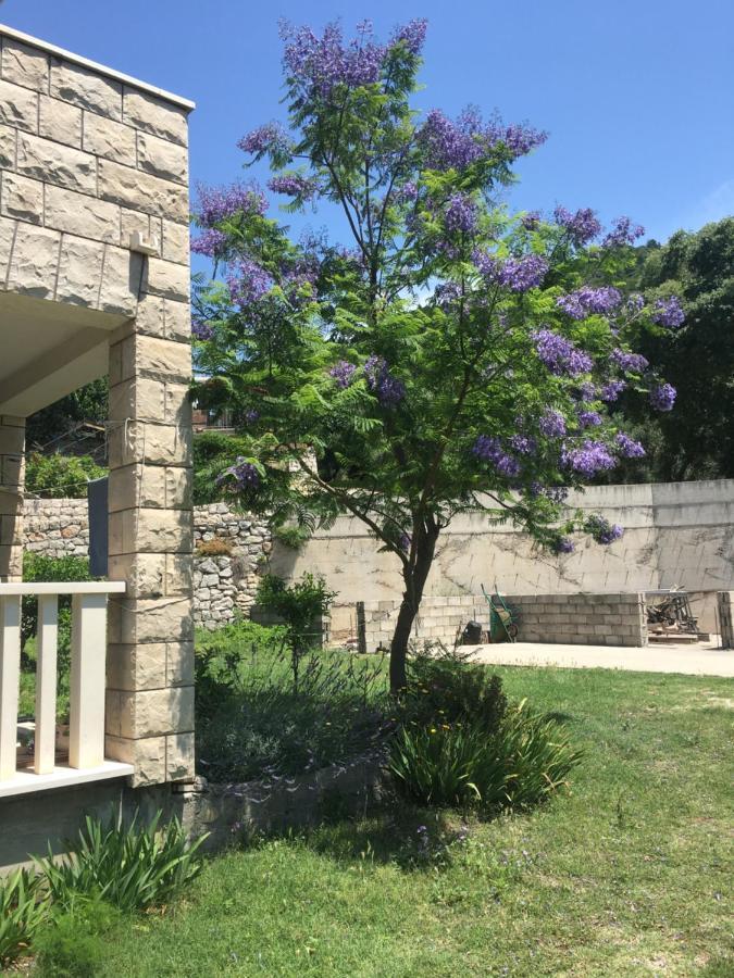Apartmani Domenika Žuljana Esterno foto